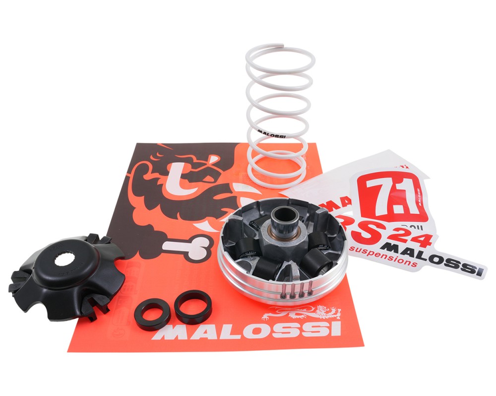 Variomatik MALOSSI Multivar 2000 kompatibel f�r Piaggio ab 1998 19x15,5mm Gewichte NRG, Zip SP, TPH, Gilera Runner, Aprilia SR50