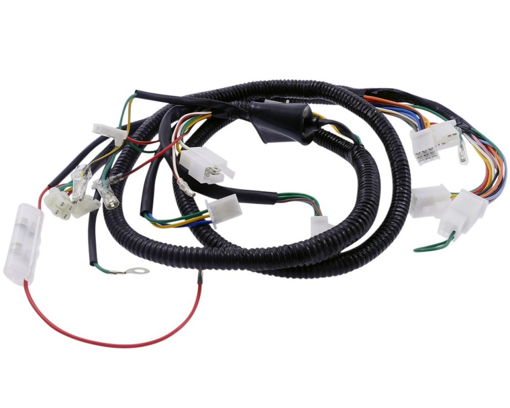 Kabelbaum fr Jinlun JL50QT-5 Fighter 50