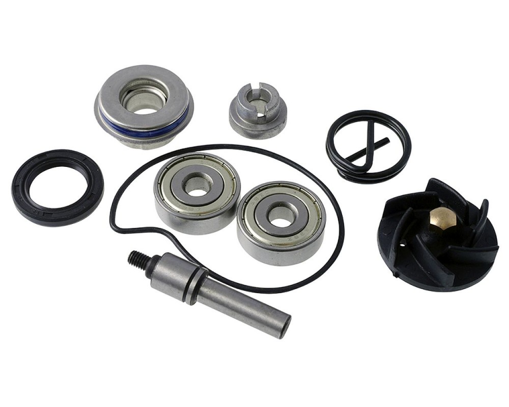 Reparaturkit Wasserpumpe Piaggio Beverly 250 bis 300