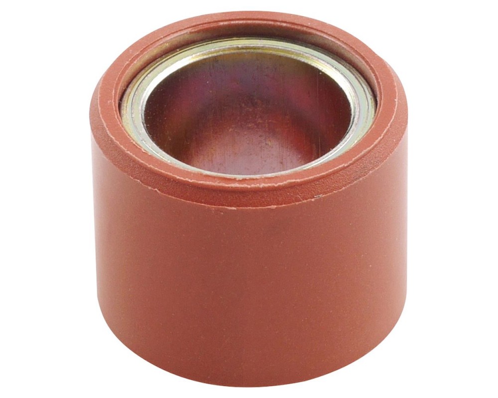 Variomatikgewicht 21x17mm 13g fr Piaggio Beverly 250
