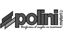 Polini